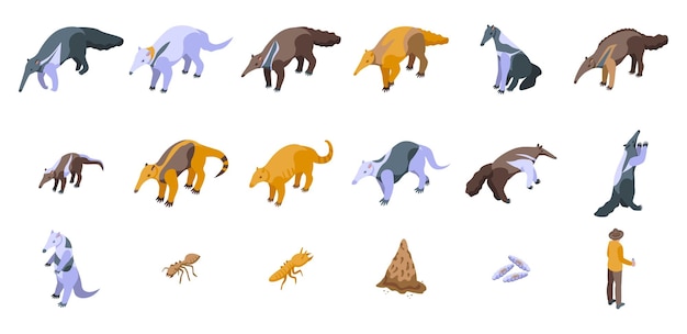 Anteater icons set isometric vector Animal ant