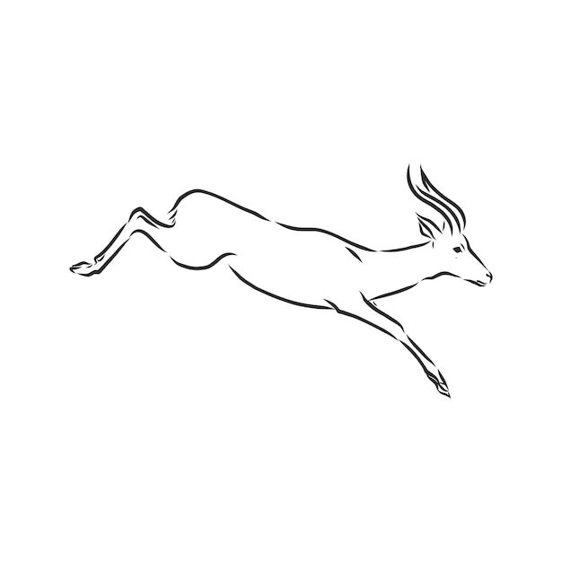 antelope sketch vector graphics black and white drawing. antelope animal, vector sketch illustration