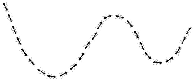 Ants trail with location icons Route or path isolated in white background Vector illustration