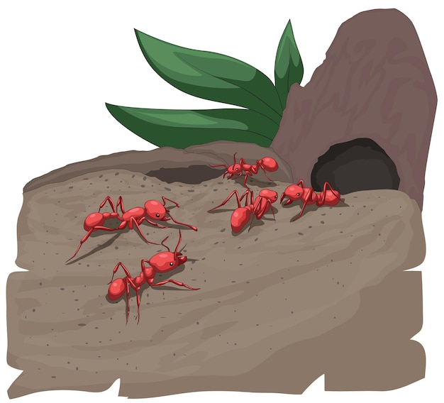 Ants walking towards anthill