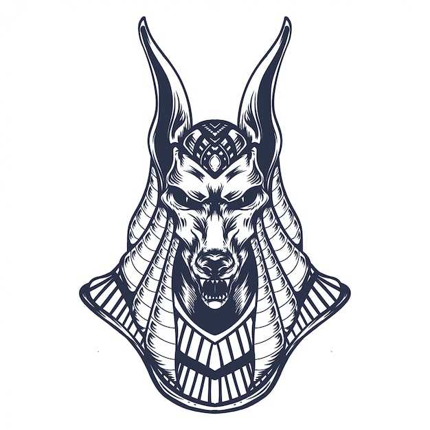 anubis line art illustration