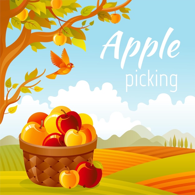 Apple basket in orchard Fruit farm vector Apple picking in fall garden vector Cartoon agriculture harvest landscape with autumn tree and basket Vintage summer or fall landscape with quote