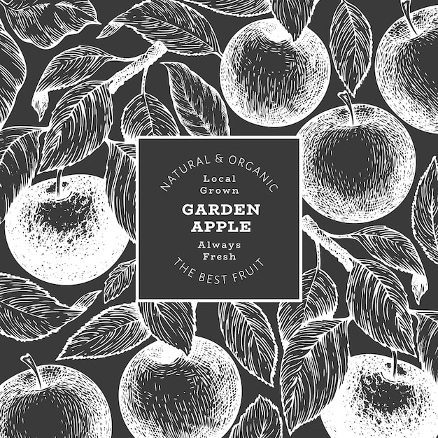 Apple branch design template. Hand drawn vector garden fruit illustration on chalk board. Engraved style fruit retro botanical banner.