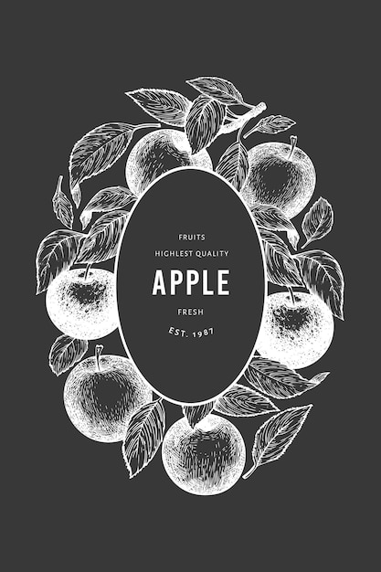 Apple branch  template. Hand drawn  garden fruit illustration on chalk board. Engraved style fruit retro botanical .