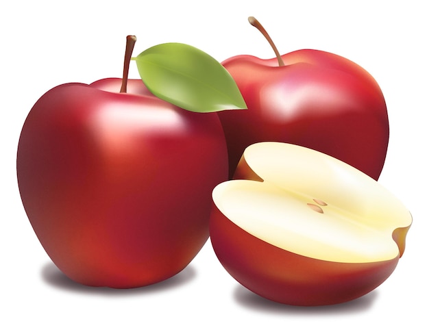 apple drawing vector illustration