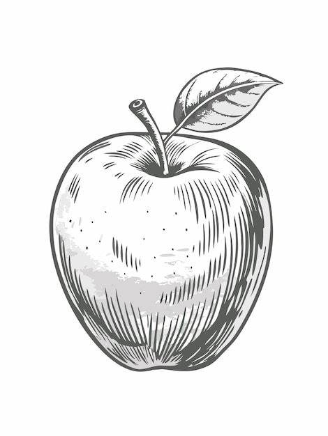 Vector an apple drawing with a leaf on it