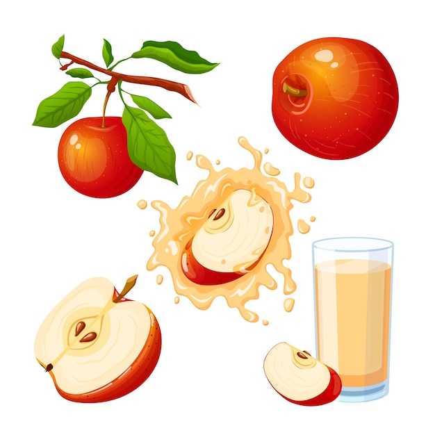 Apple fruit food set cartoon vector illustration