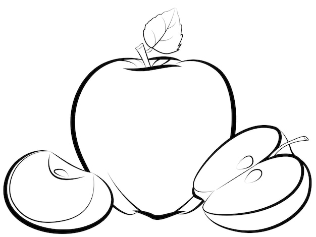 Apple fruit and slice vector, Engraved organic food hand drawn sketch engraving illustration