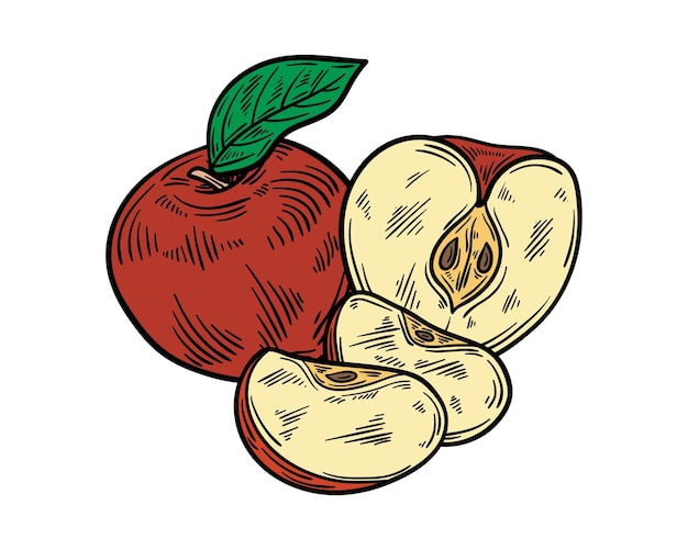 Apple Hand Drawn Vintage