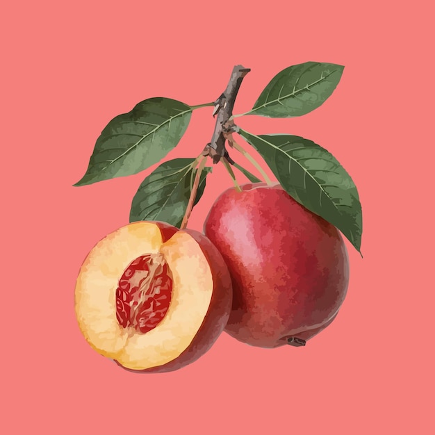 apple png and vector