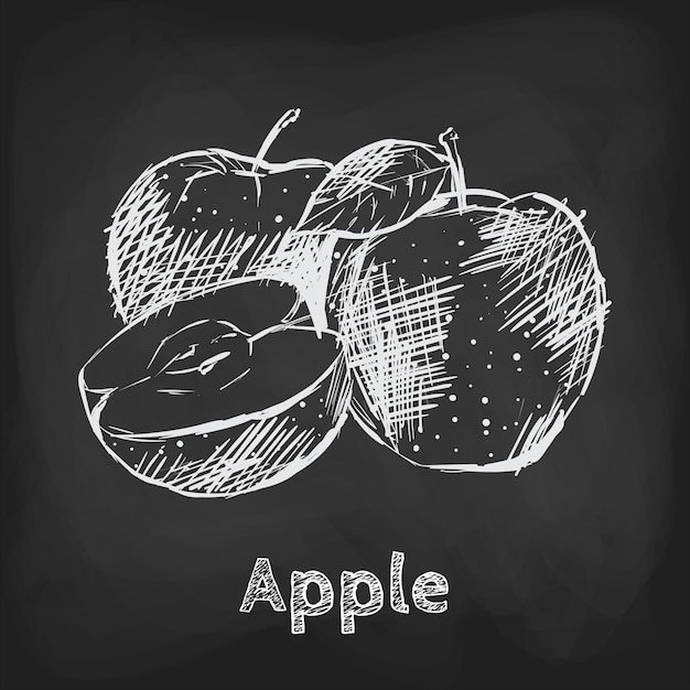 Apple sketch illustration hand drawn design usage element