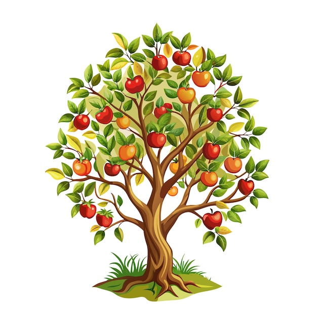 Apple tree vector illustration isolated on white background farming concept tree with fruits