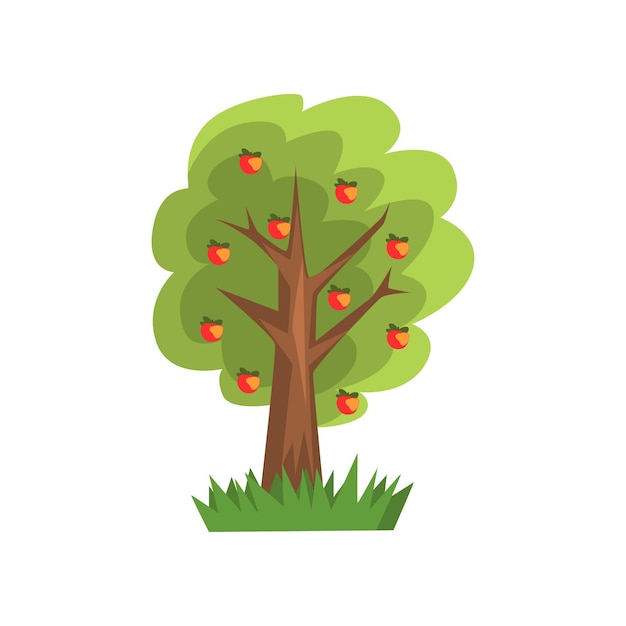 Apple tree vector Illustration isolated on a white background