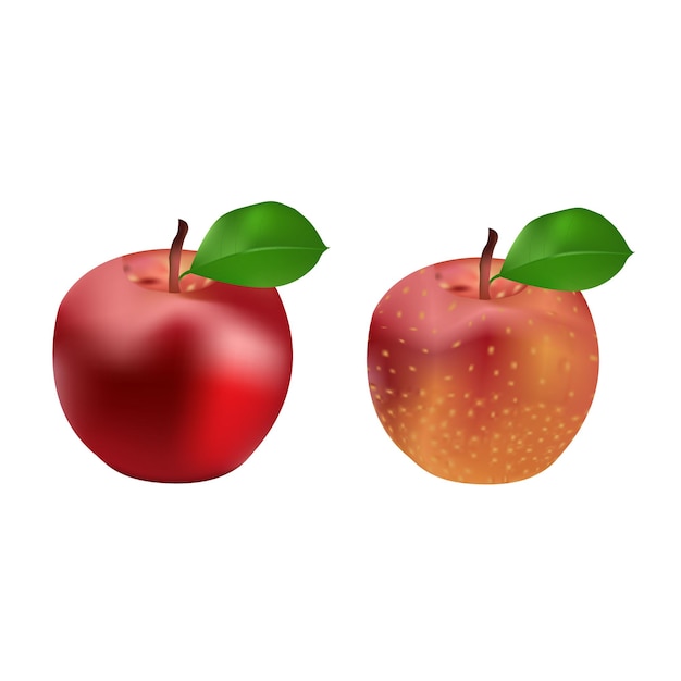 Apple Vector design