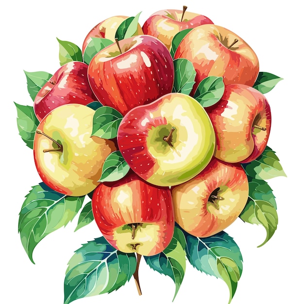 apple watercolor food illustrations