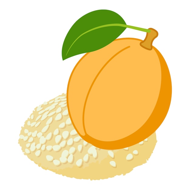 Apricot dessert icon isometric vector Fresh ripe apricot and sesame cookie icon Dessert food concept