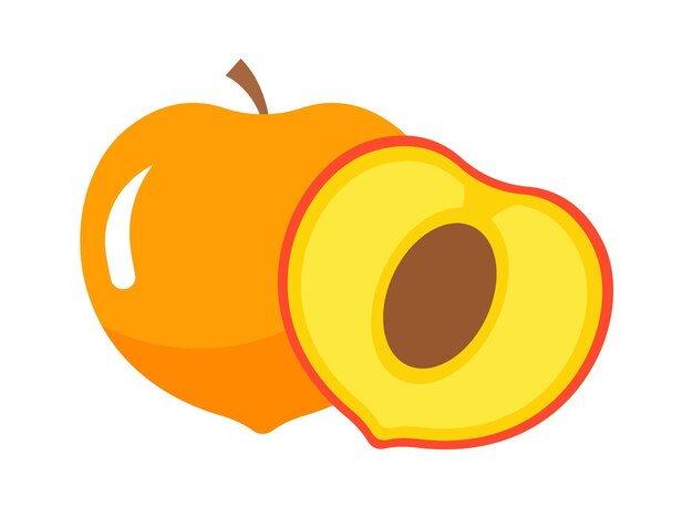 Apricot fruit with slice Vector illustration