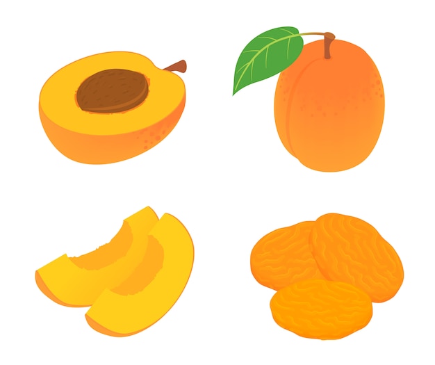 Apricot icons set, isometric style