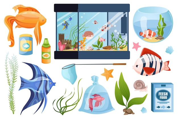 Aquarium set graphic elements in flat design Bundle of exotic or tropical fishes differents fishbowls net algae plant snail fish food and other accessories Vector illustration isolated objects