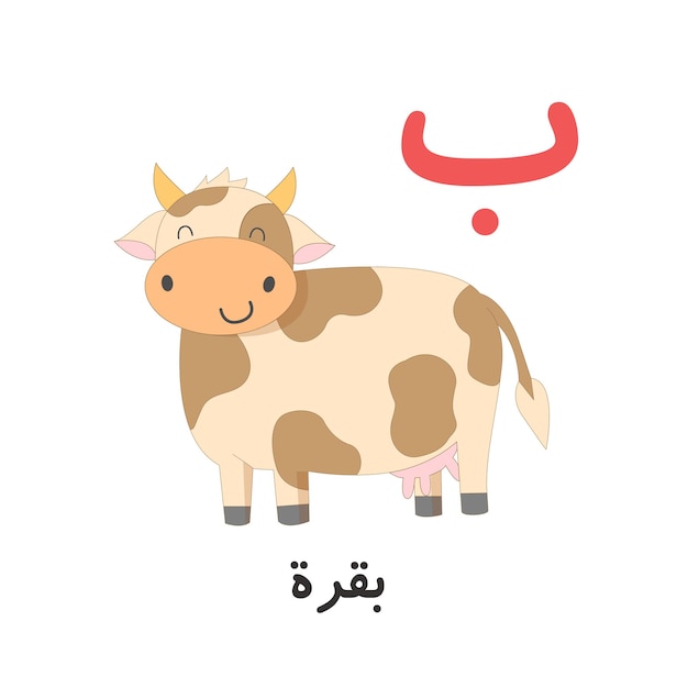 Arabic alphabet ba with the image of a cow