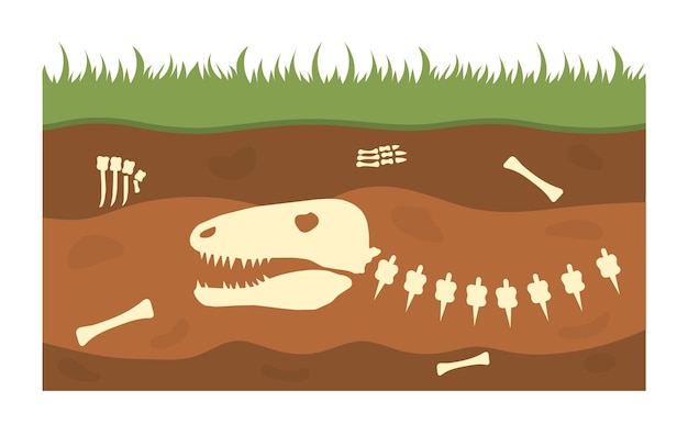 Vector archaeological bones underground dinosaur skeleton and dinosaur underground archeology and paleontology prehistoric animals fossil and artifact flat vector illustration