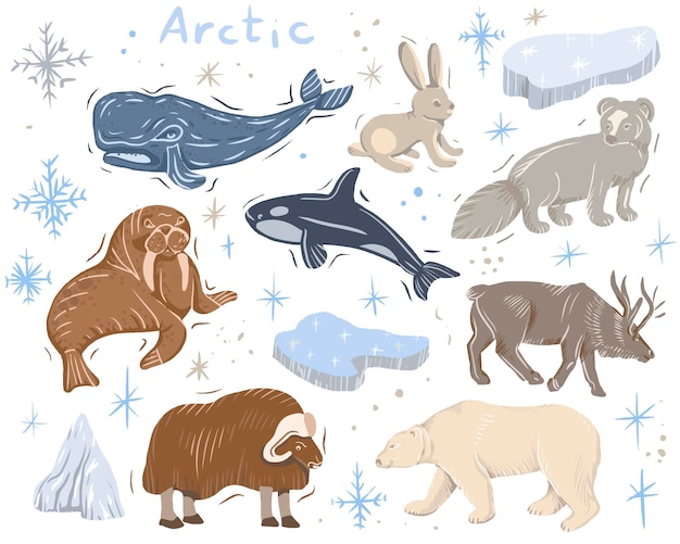 Arctic animals nature wild world cold north cute cartoon ice