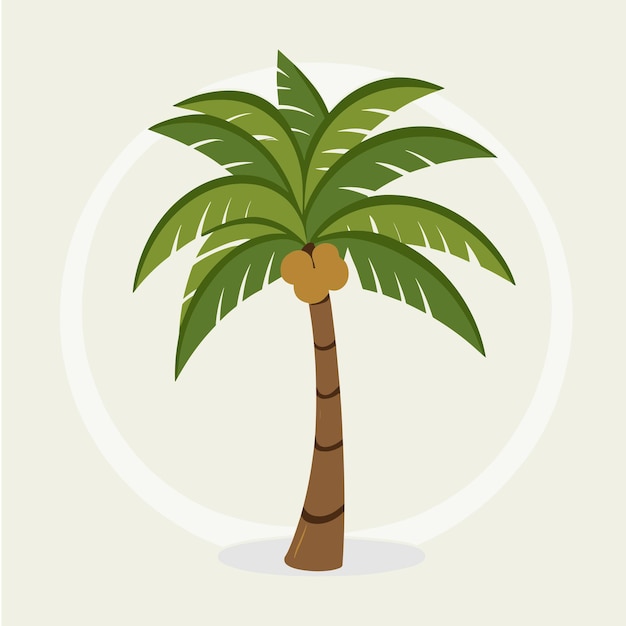 Areca Palm tree vector