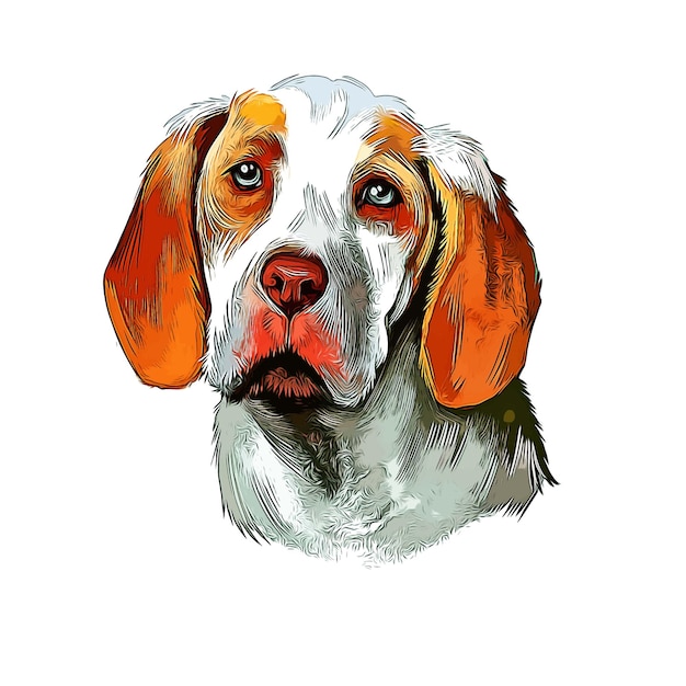 Ariege Pointer Dog Watercolor Sketch Hand Drawn Illustration