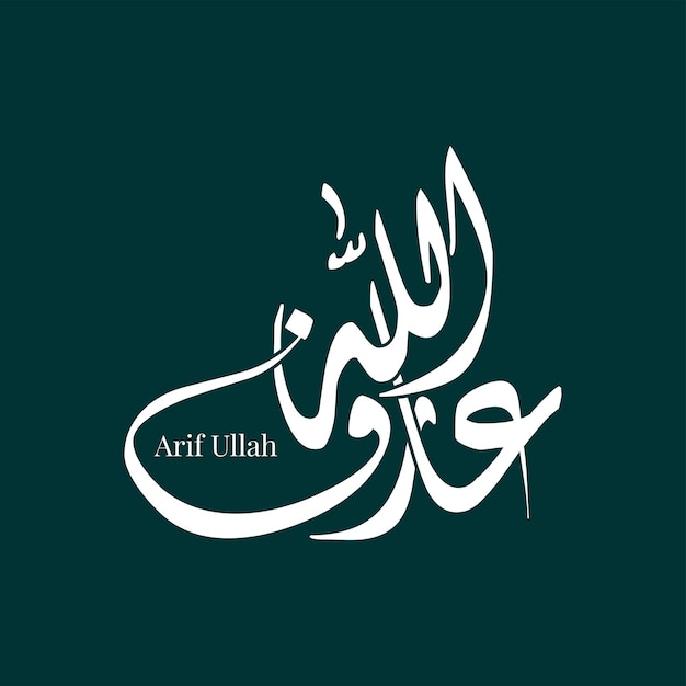 Arif Ullah Name Arabic Calligraphy Vector Template