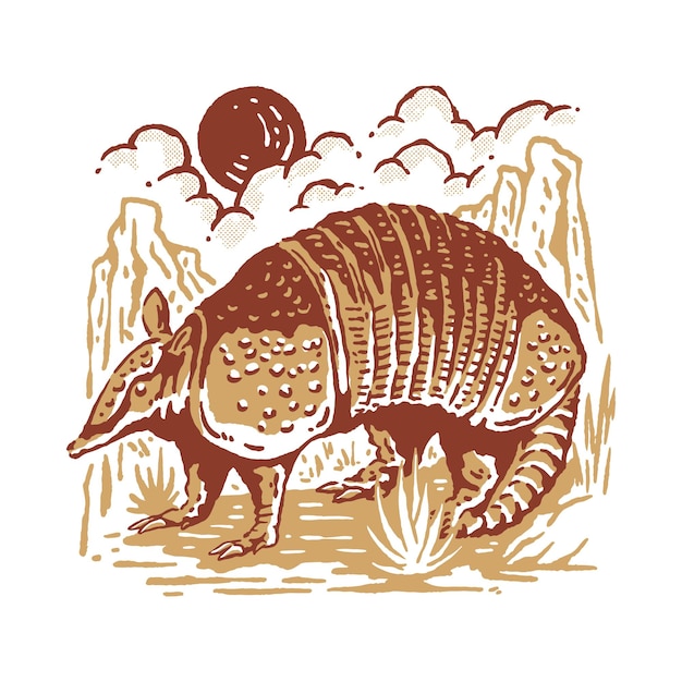 Armadillo Illustration