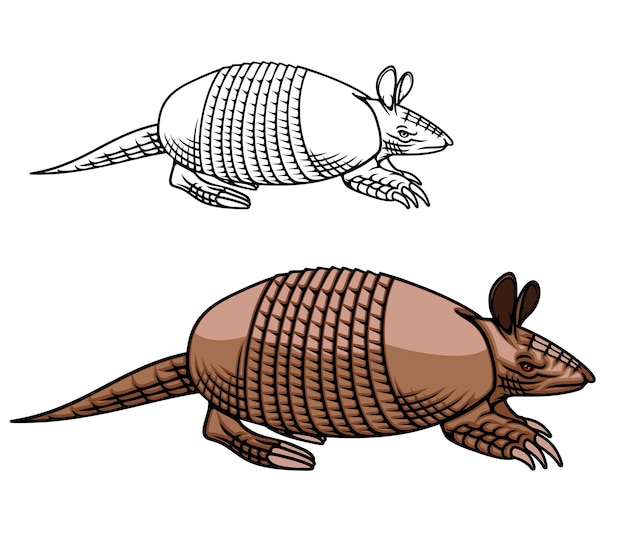 Armadillo mascot animal with armoured shell icon