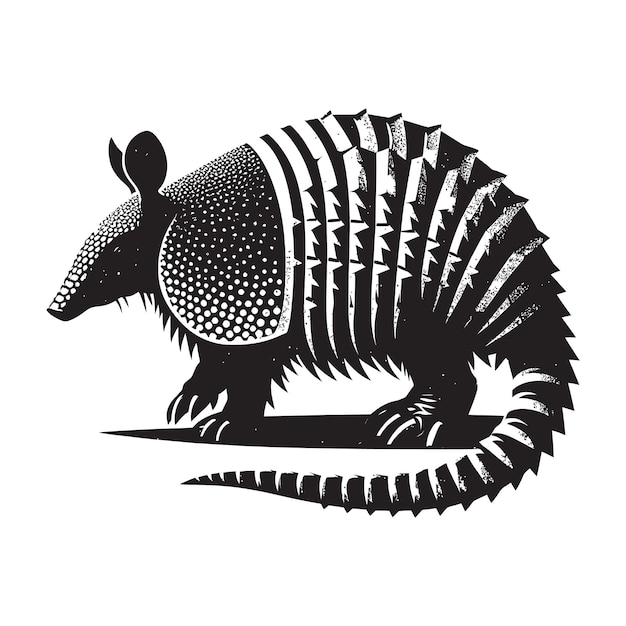 Armadillo silhouette vector illustrationon on white background