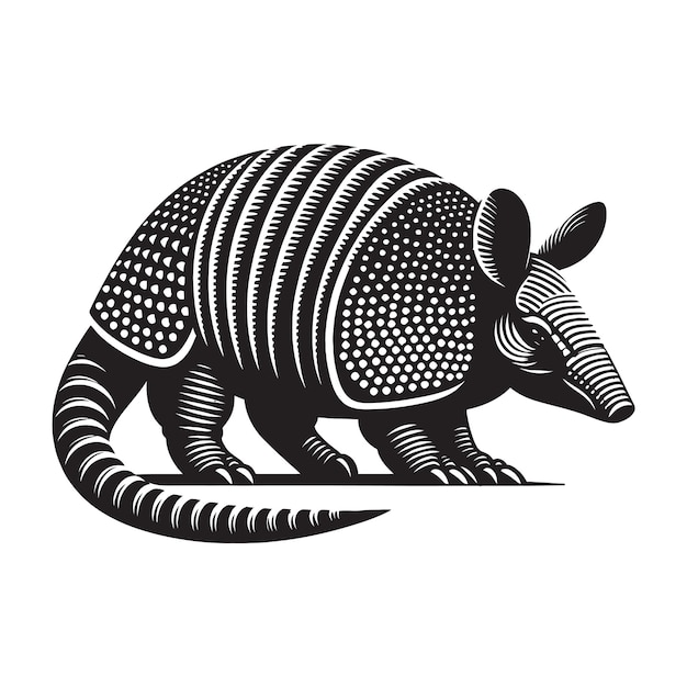 Armadillo silhouette vector illustrationon on white background