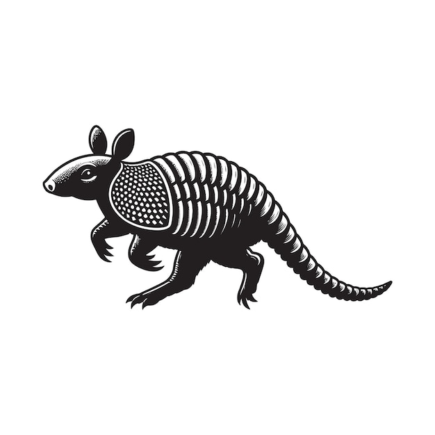 Armadillo silhouette vector illustrationon on white background