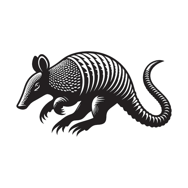 Armadillo silhouette vector illustrationon on white background