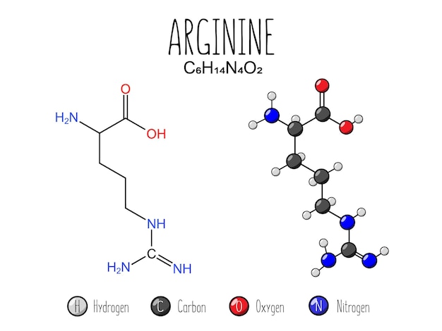 Vector arrginine amino acid representation