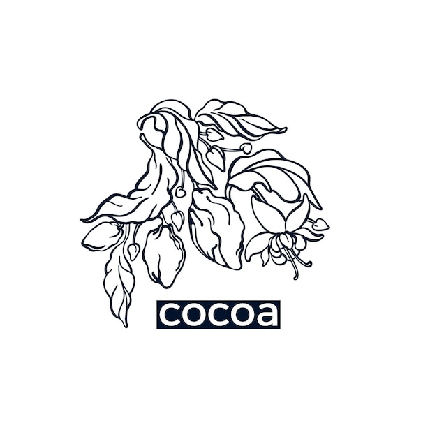 Art line logo Chocolate symbol of cocoa tree branch leaves bean grain flower Organic chocolate