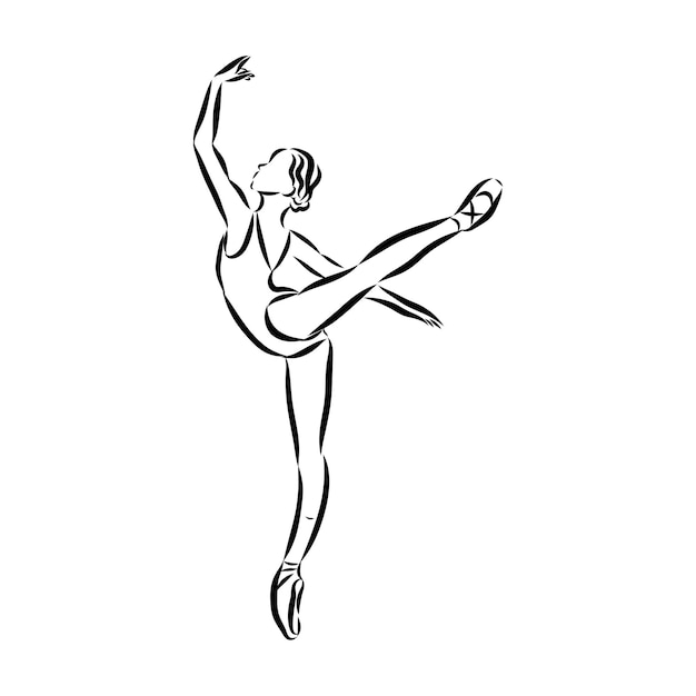 Art sketched beautiful young ballerina in ballet pose. Vector.