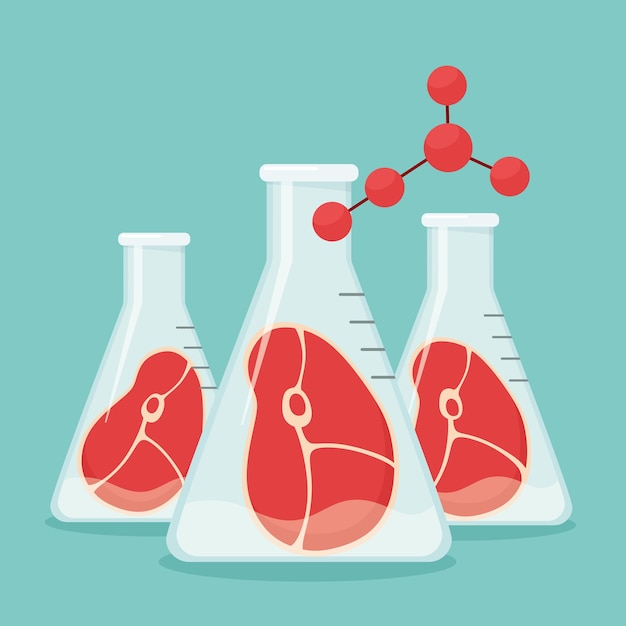 Artificial synthetic meat grown in glassware in a chemical laboratory