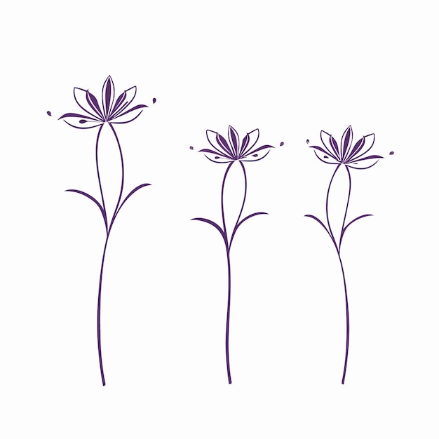 Vector artistic interpretation of a lilac with delicate linework