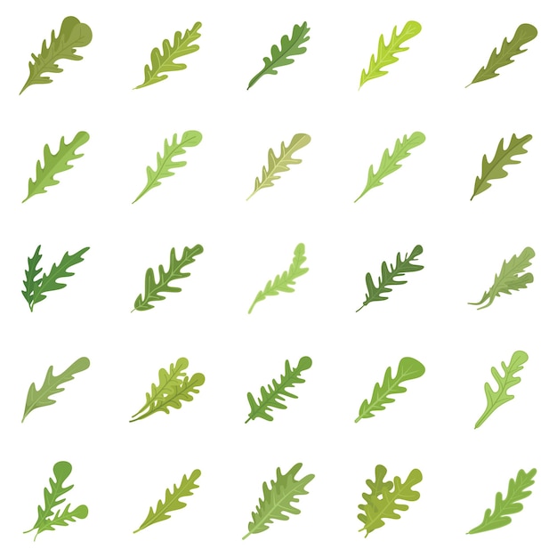 Arugula icons set flat vector Leaf salad