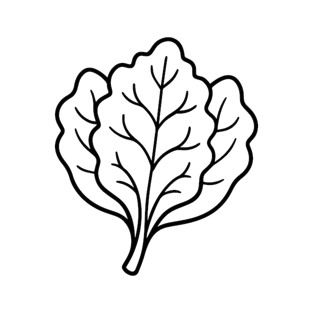 Vector arugula leaves outline coloring book page line art vector illustration