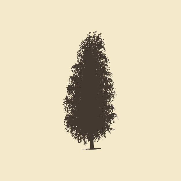 Ash, hand drawn silhouette. Vector sketch of deciduous or coniferous tree.