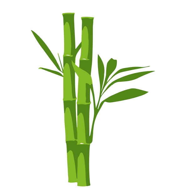 Asian bamboo tree vector design