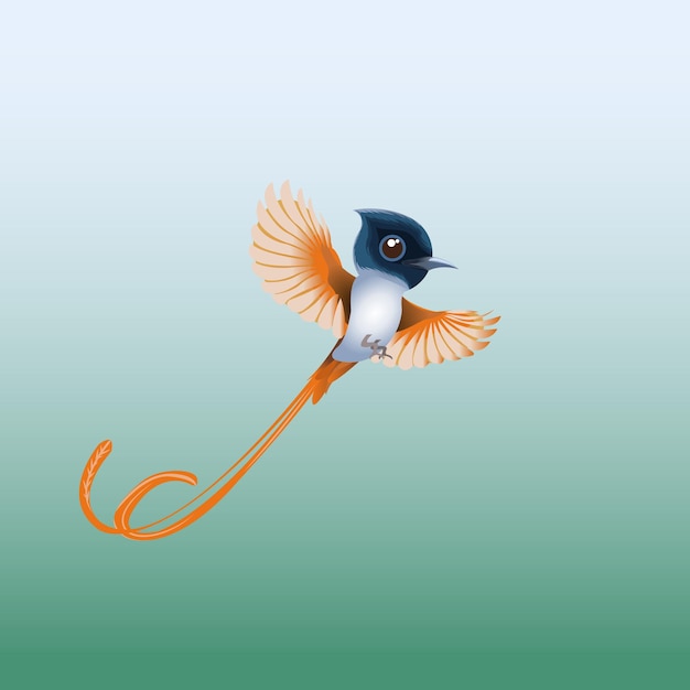 Vector asian paradise flycatcher bird illustration