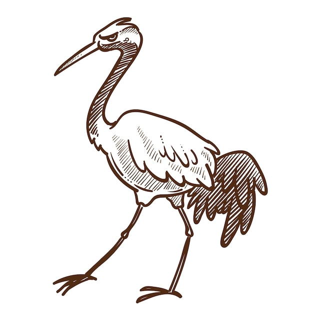 Asian wild bird heron wader or stork isolated sketch