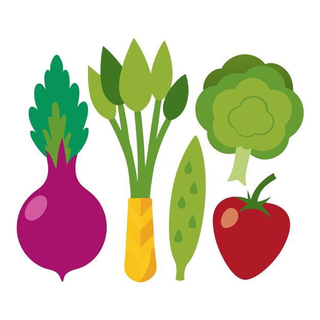 Vector asparagus beetroot bell pepper broccoli clipart vector art and illustration