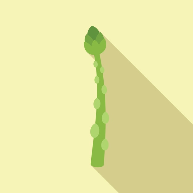 Asparagus icon flat vector Plant bunch Spring food