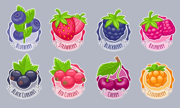 Vector assorted berries stickers set vector illustration.