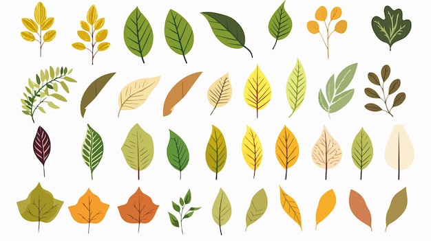 Vector assorted cute leaves from various trees set in flat style